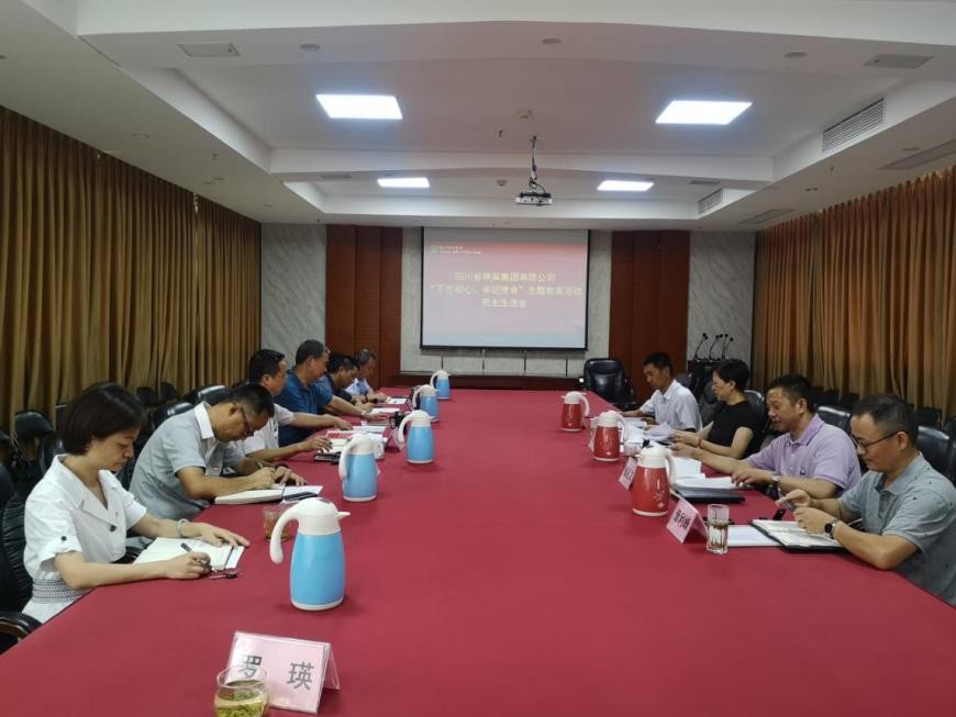 集團(tuán)公司召開(kāi)“不忘初心、牢記使命”主題教育活動(dòng)民主生活會(huì)