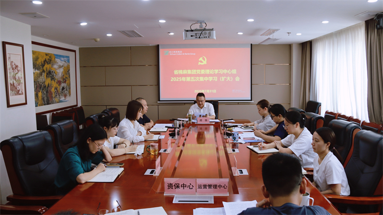 集團公司召開黨委理論學(xué)習(xí)中心組2025年第五次專題學(xué)習(xí)（擴大）會