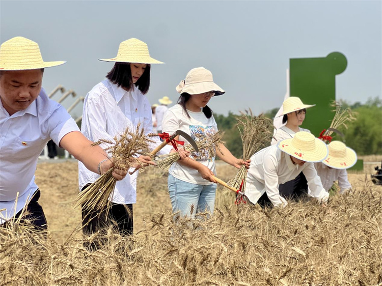 1684399232472588.jpg 圖片2.jpg